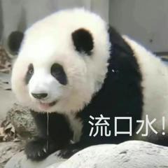 小米系列定档月日发布